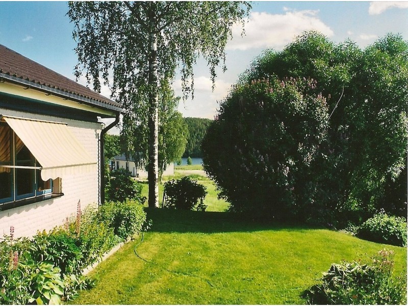 Utsikt mot sjön. Säljarnas sommarbild.