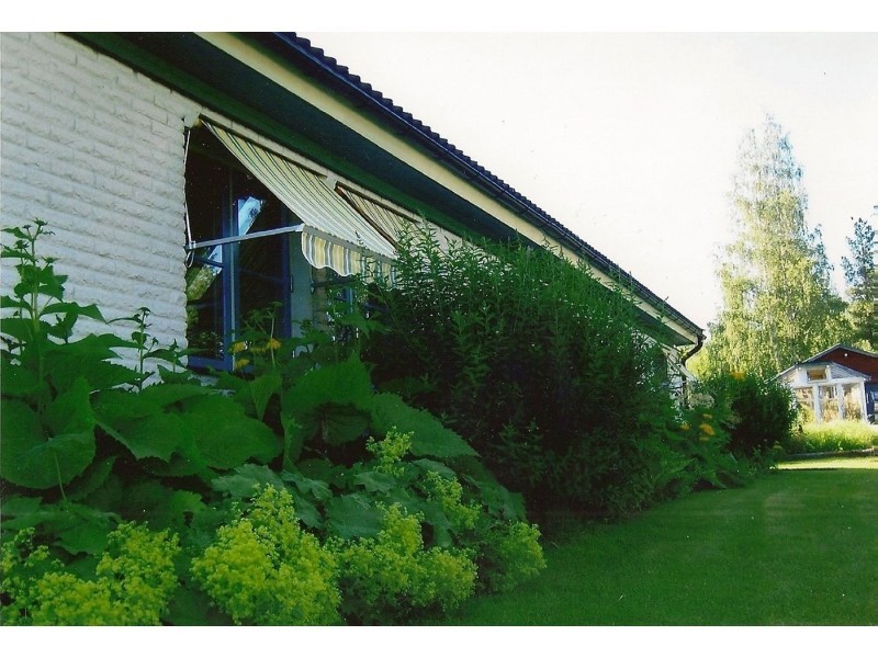 Säljarnas sommarbild.