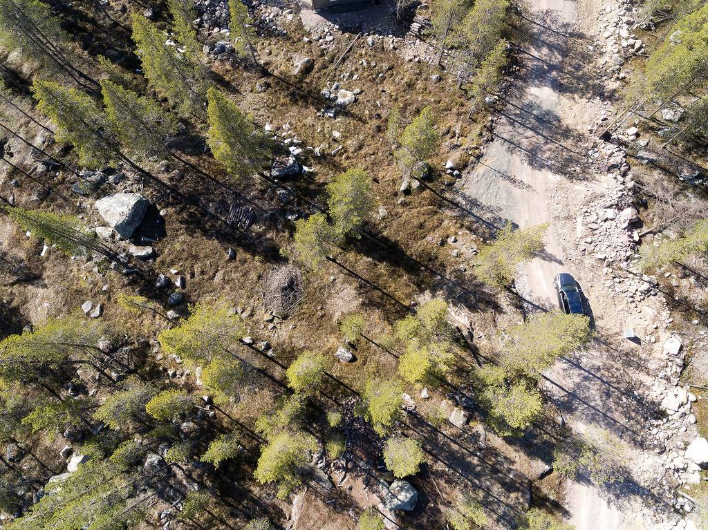 Allmänningskogen 1:29