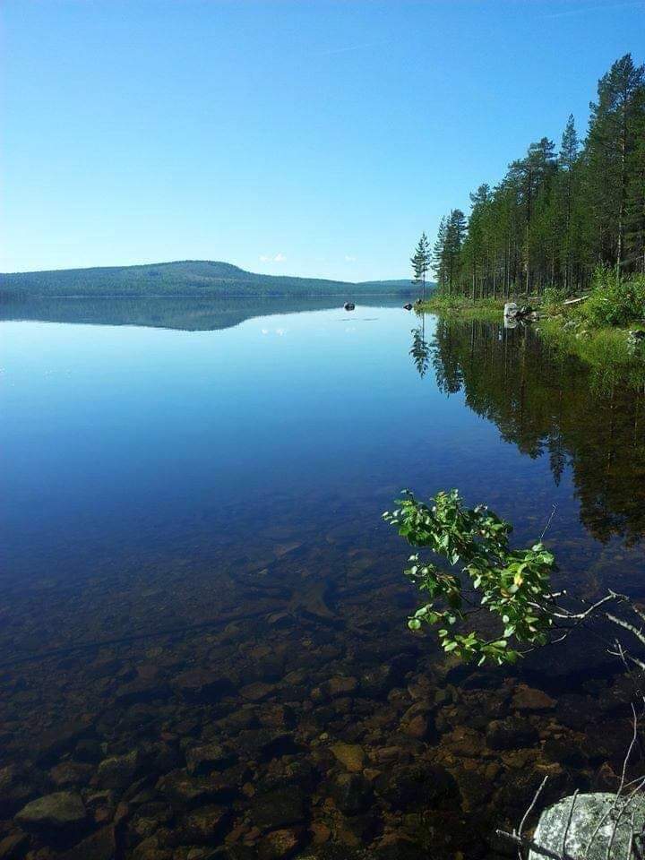 Padjerim 38