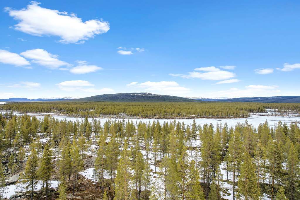 Allmänningsskogen 1:34