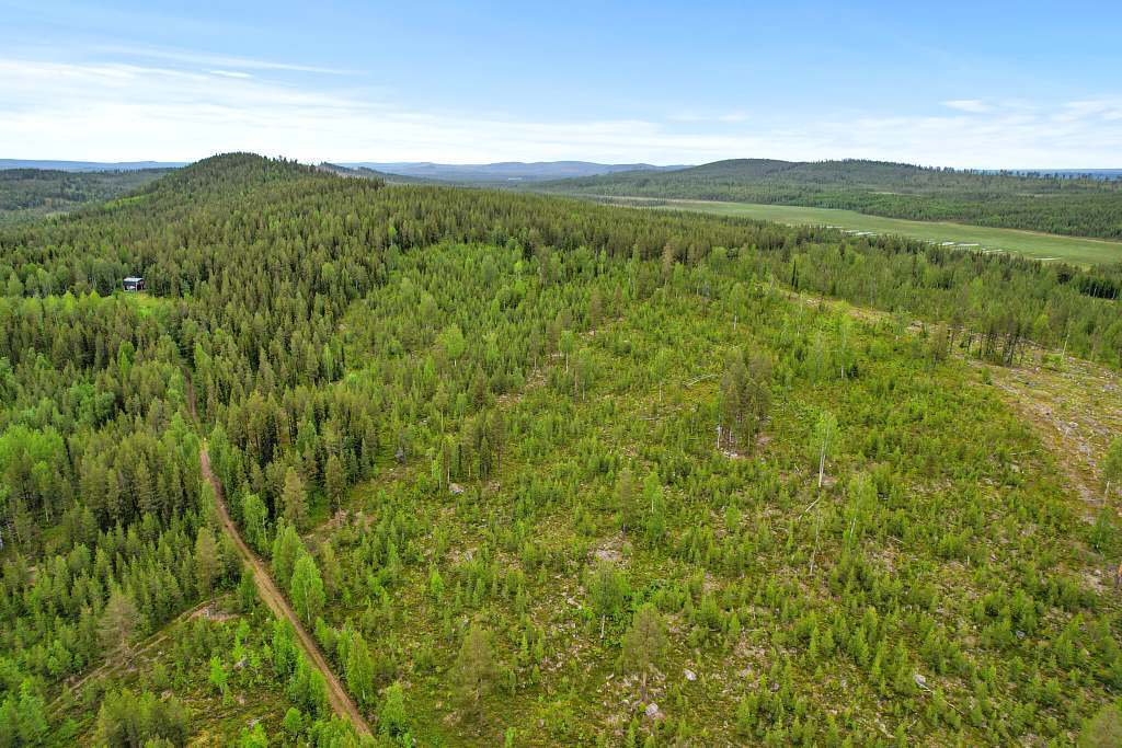 Vajtjärn 1:3