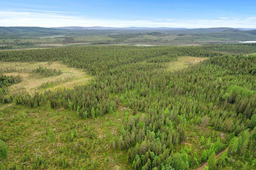 Vajtjärn 1:3