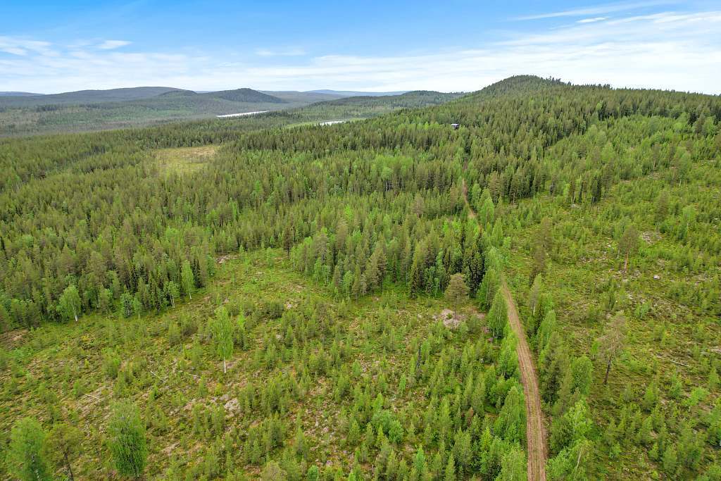 Vajtjärn 1:3