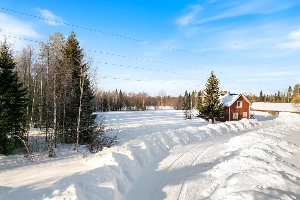 Keräsjänkkä 275