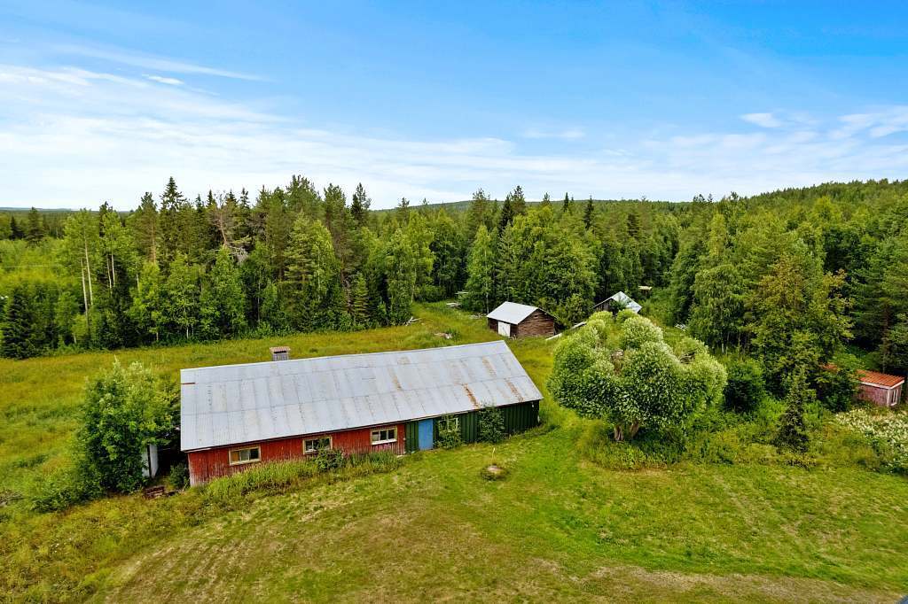 Keräsjänkkä 275