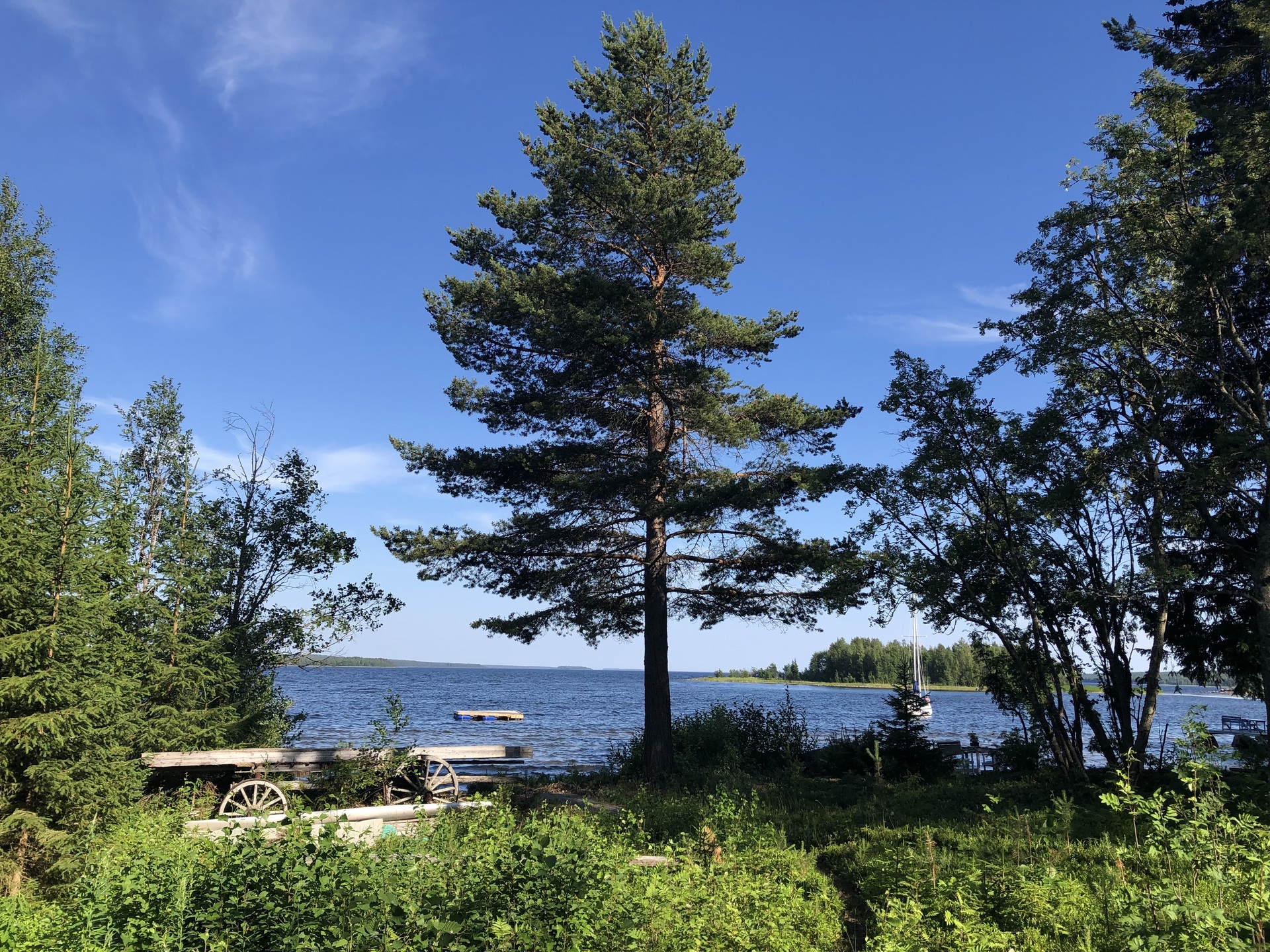 Lilla Granholmen 30 - Bild 30