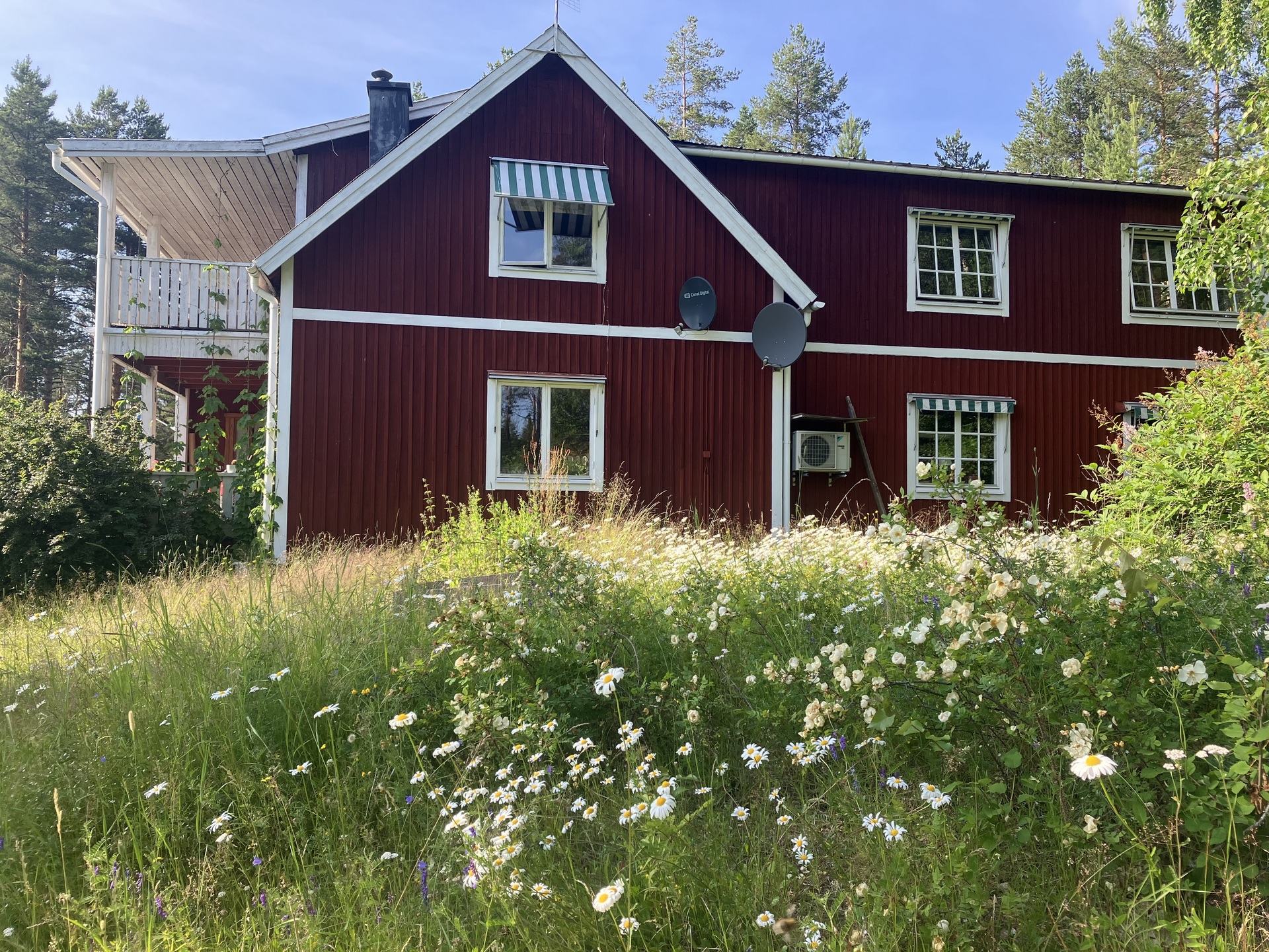 Lilla Granholmen 30 - Bild 33