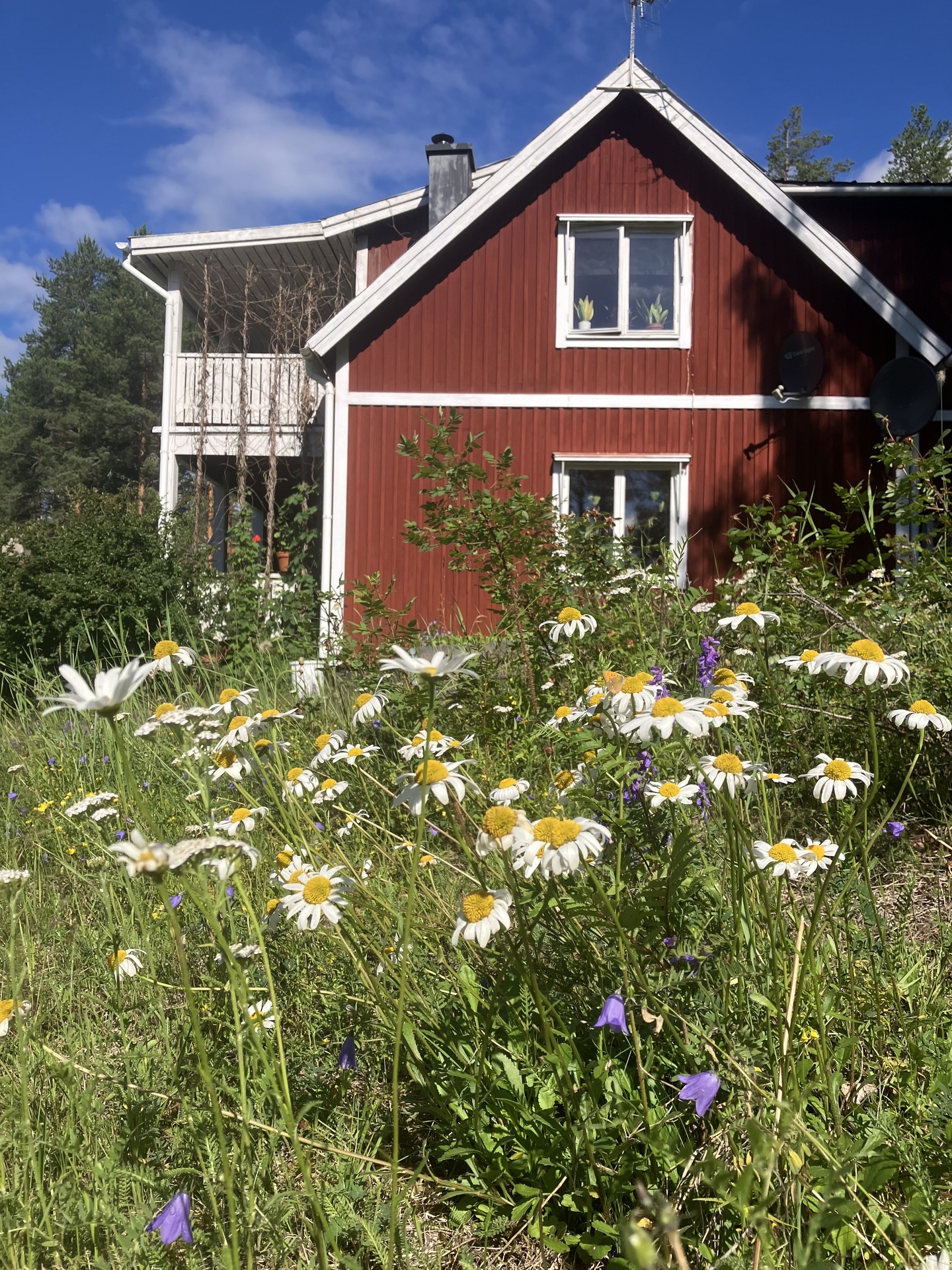 Lilla Granholmen 30 - Bild 38