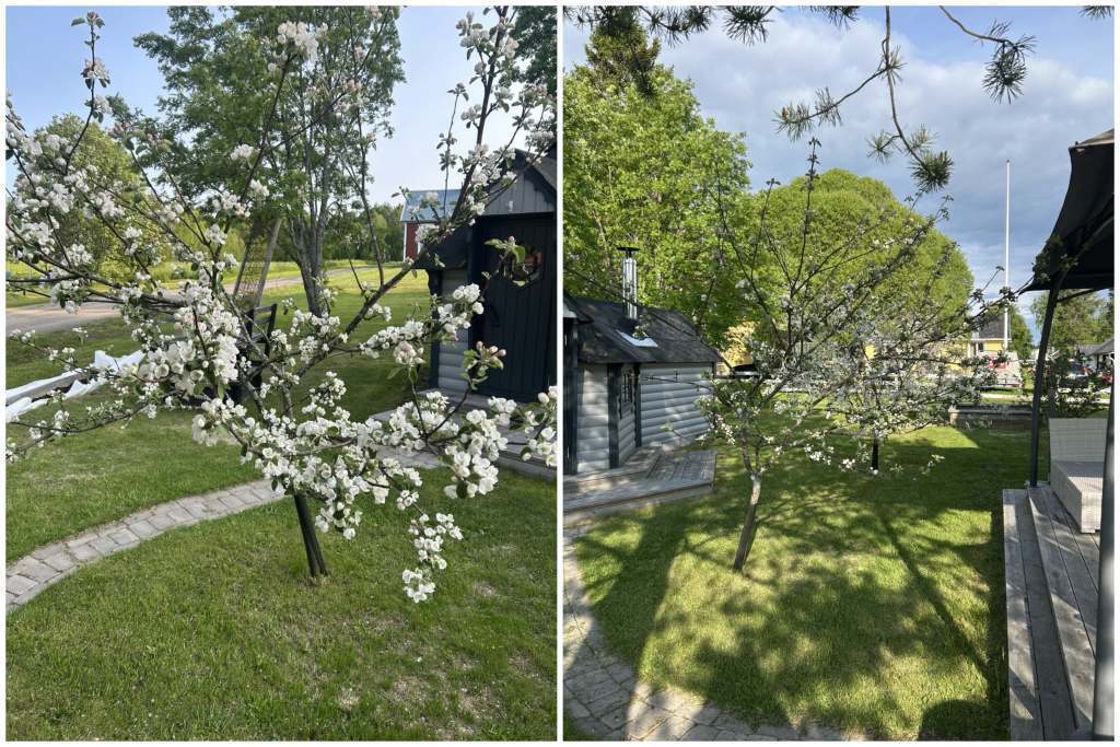 Ängesbyvägen 769 - Bild 34