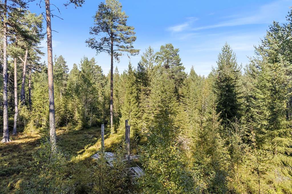 Renholmsvägen 436 - Bild 4