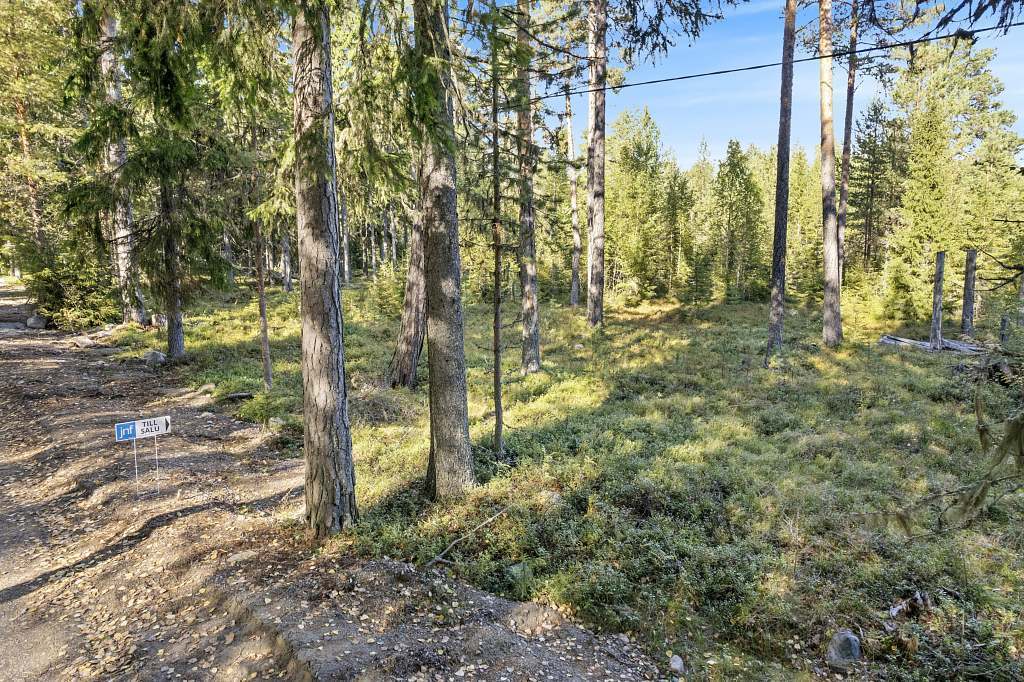 Renholmsvägen 436 - Bild 6