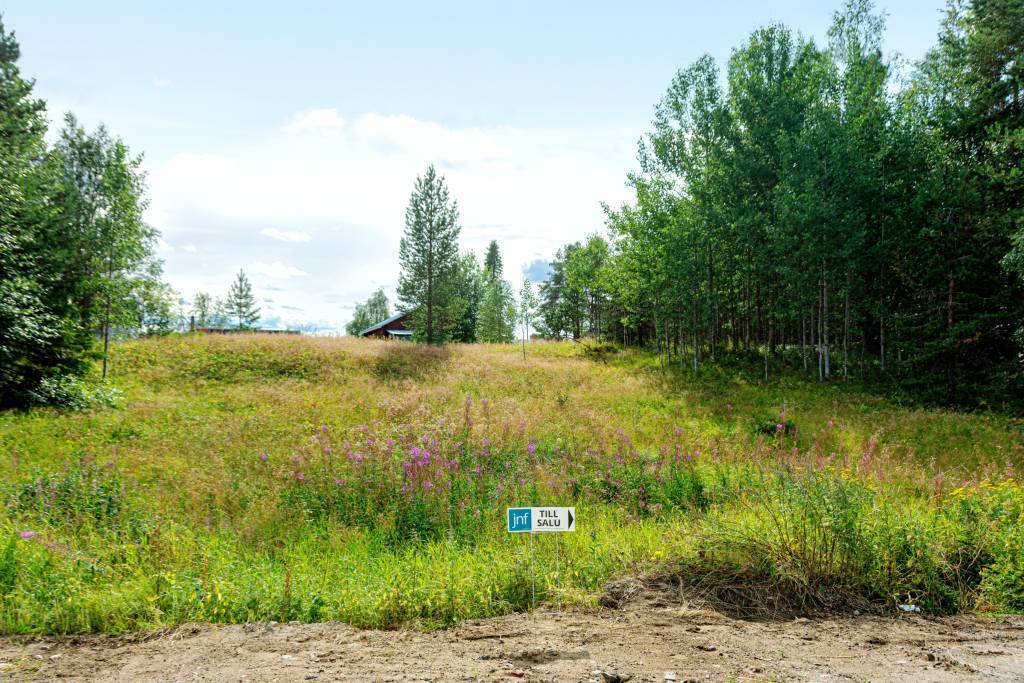 Hakkas