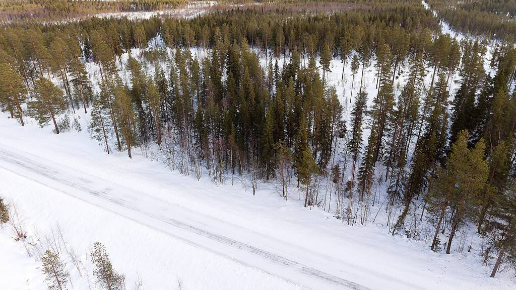 Tomter Leipojärvi