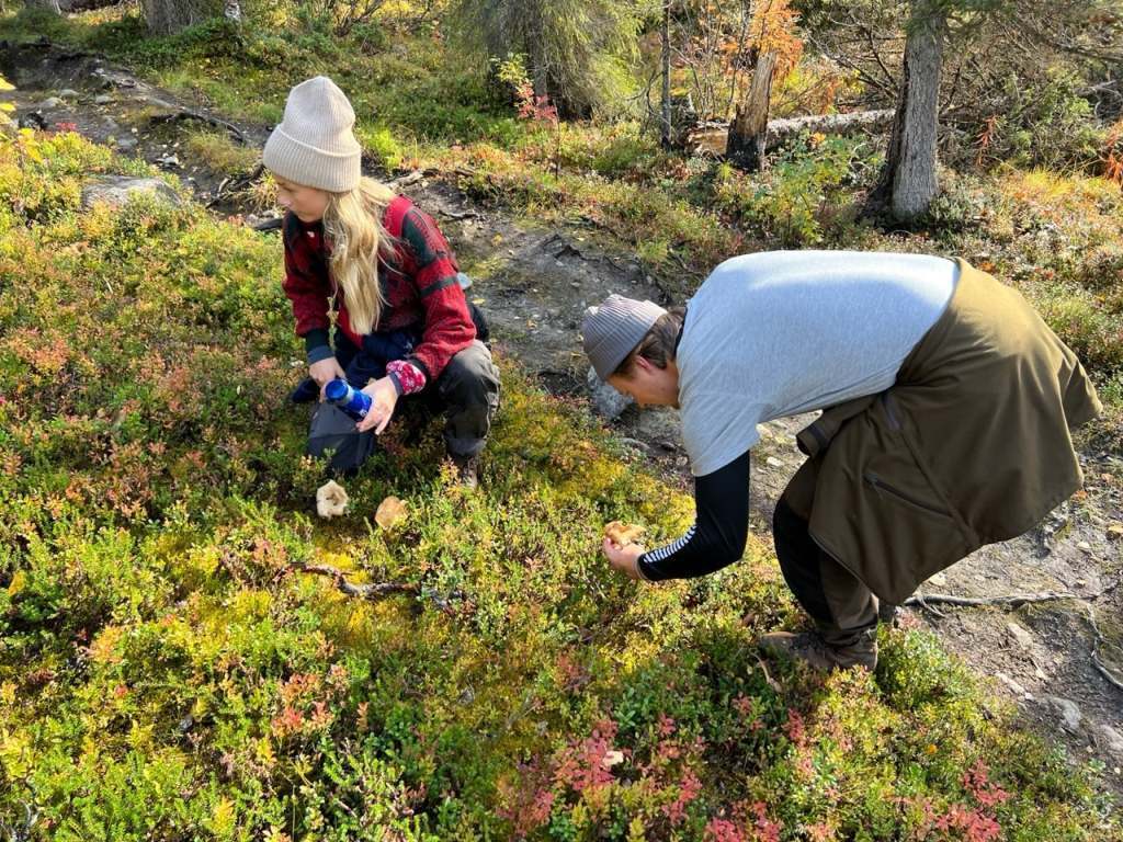 Kvikkjokk 3:86-3:93 bild nr 5