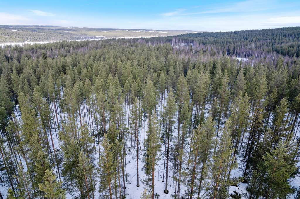 Nordanå 3:1, Jokkmokk