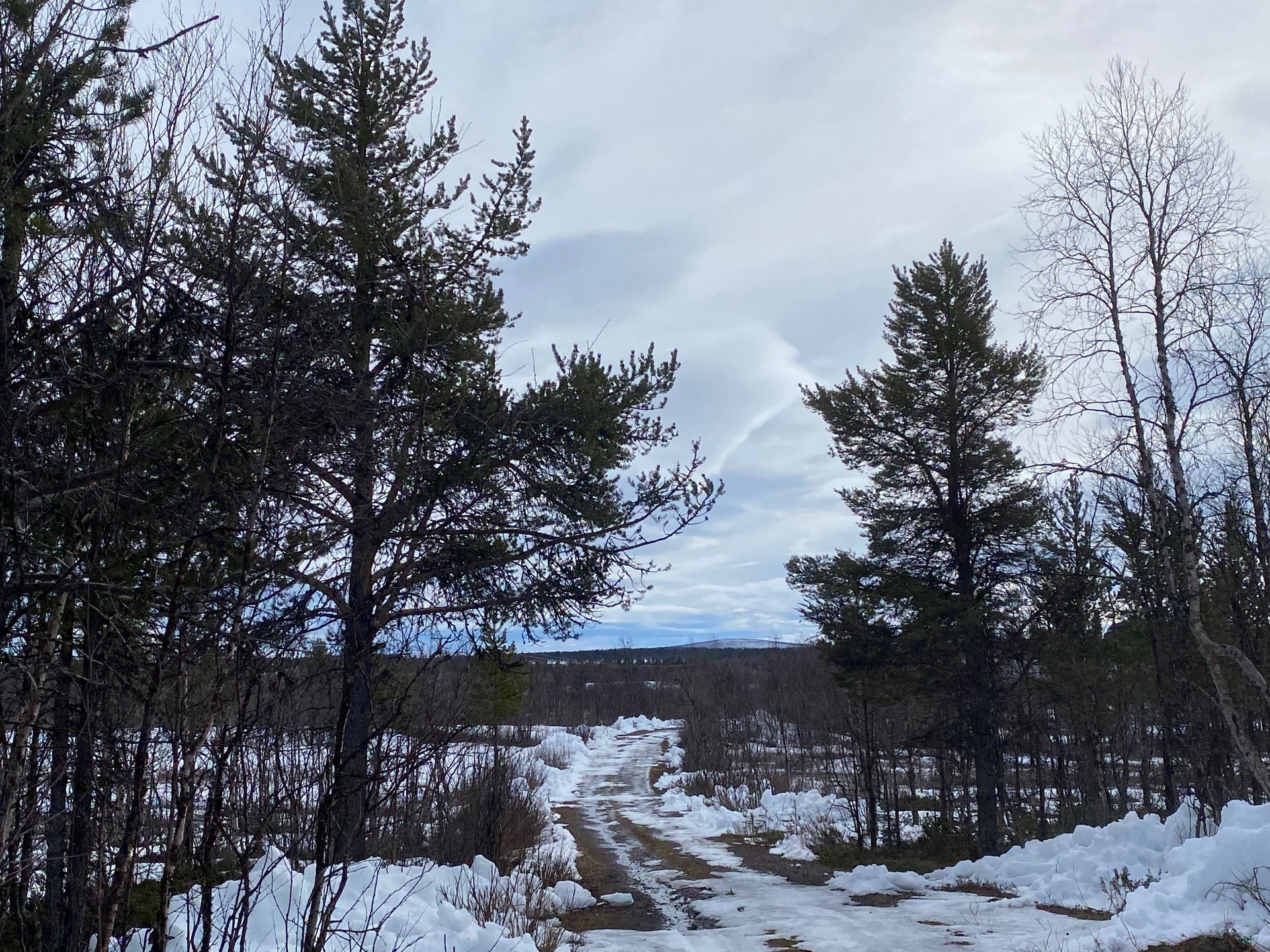 Kaalasjärvi - Bild 4
