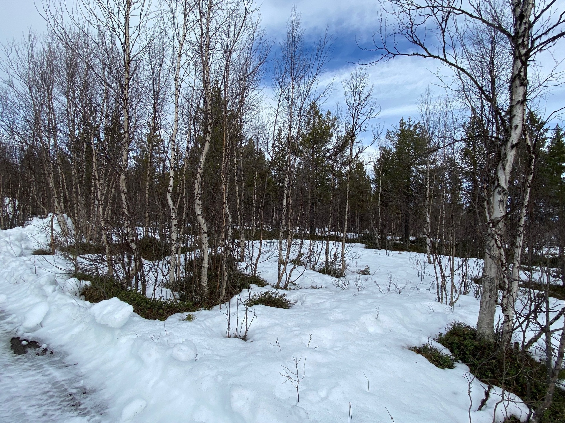 Kaalasjärvi - Bild 5