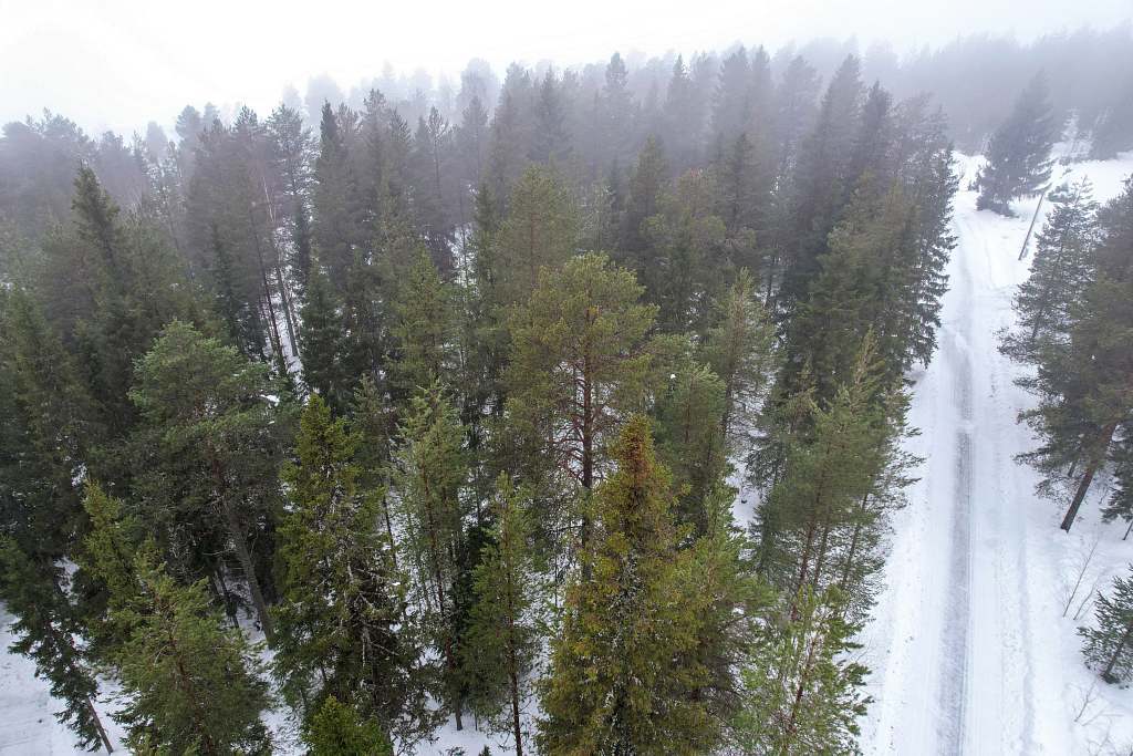 Sandöskatan 368, Luleå