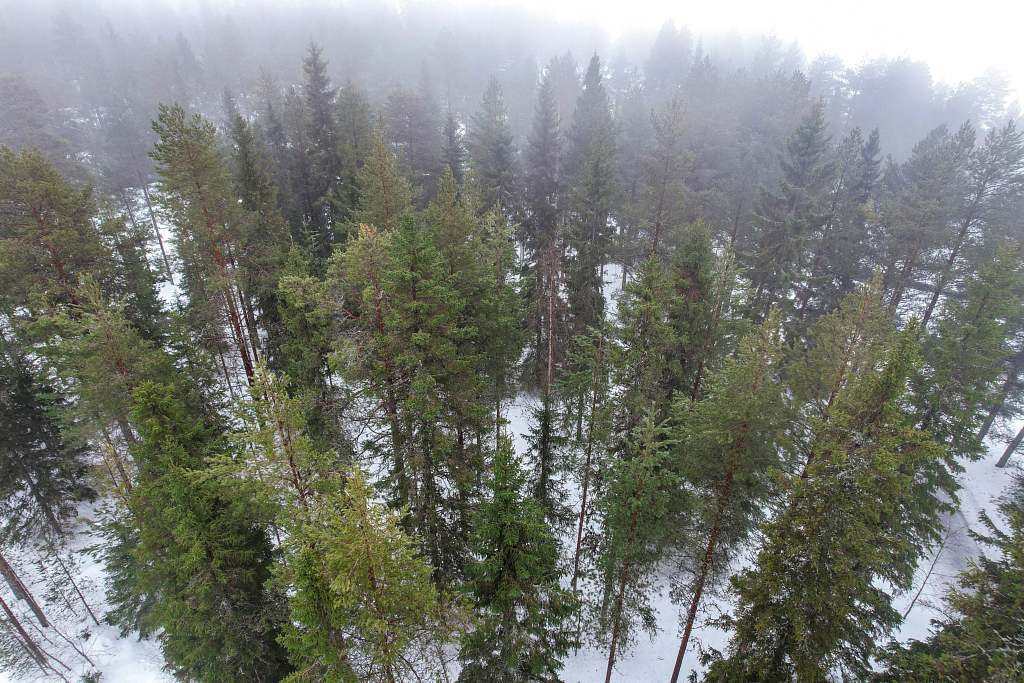 Sandöskatan 368, Luleå