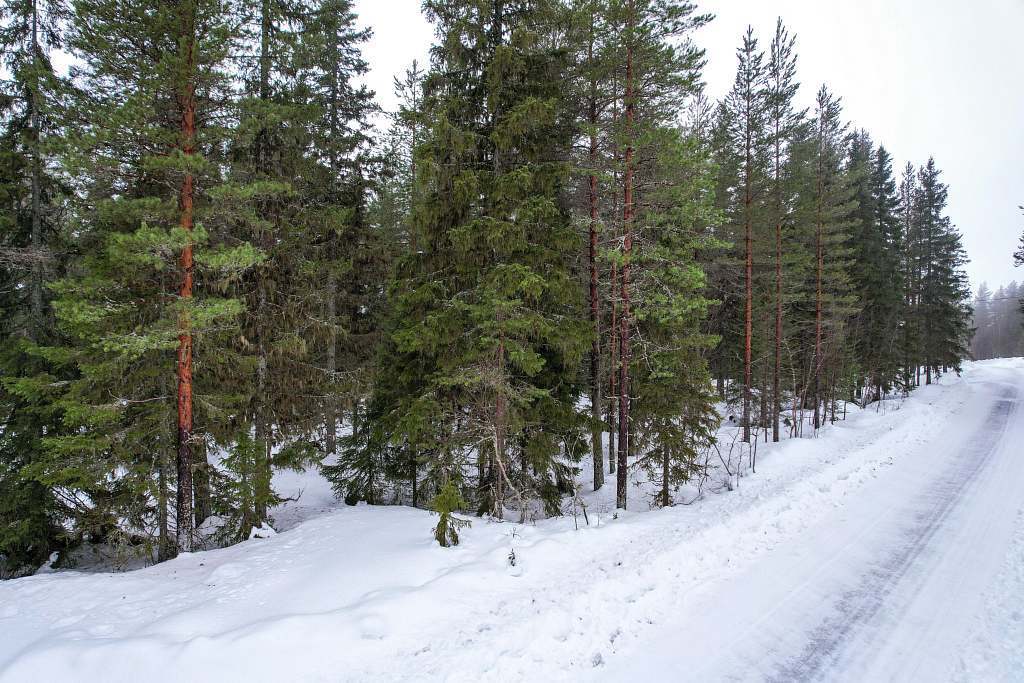 Sandöskatan 368 - Bild 4