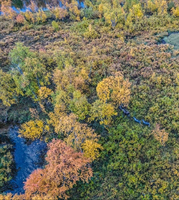 Kvikkjokk 3:86-3:93 bild nr 7