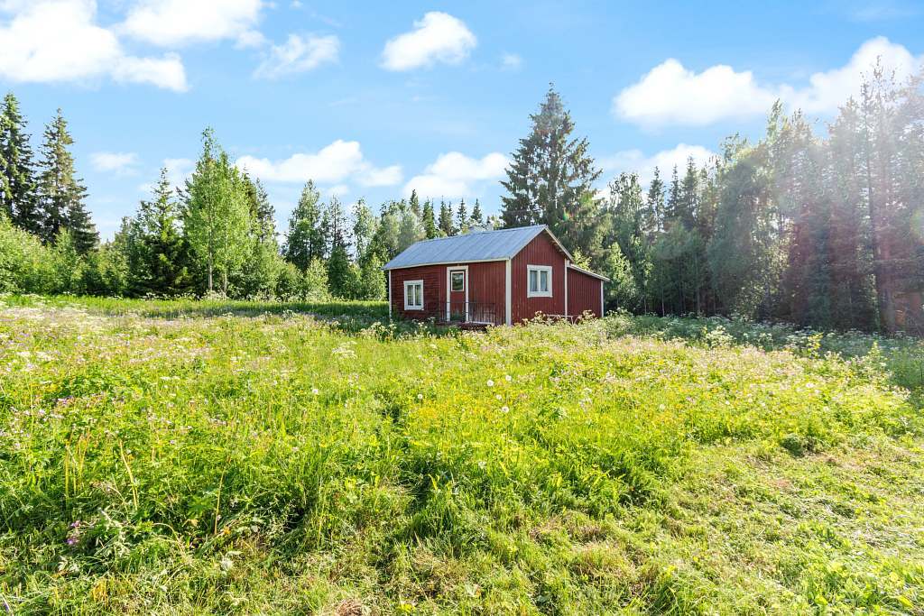 Teurajärvi 217 bild nr 21