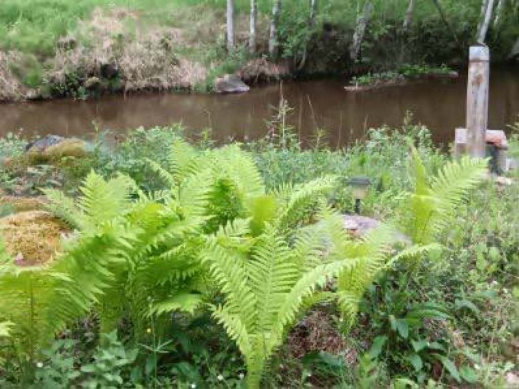 Persö hamnväg 116 - Bild 28