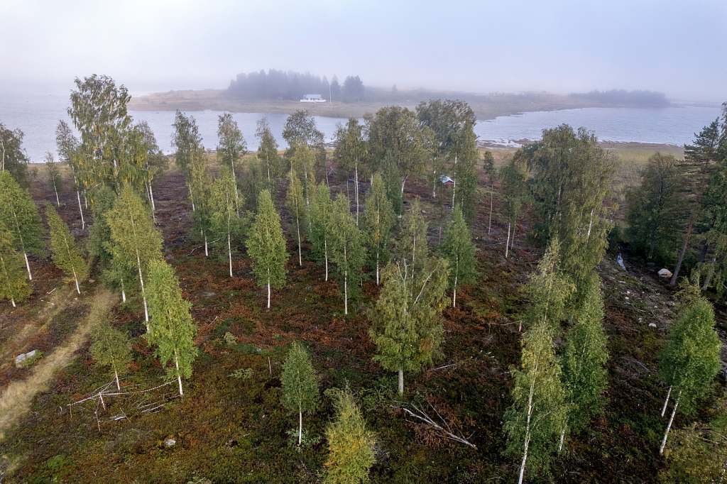 Norra Haraholmen - Bild 7
