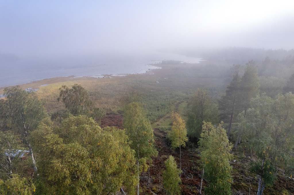 Norra Haraholmen - Bild 14
