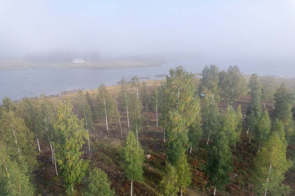 Norra Haraholmen - Bild 17