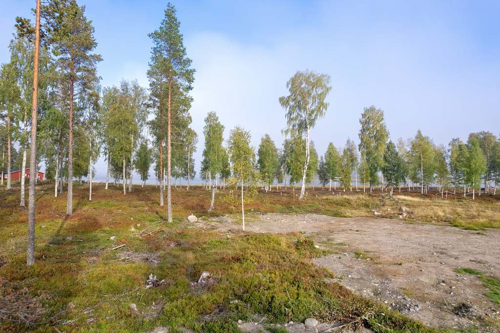 Norra Haraholmen - Bild 18
