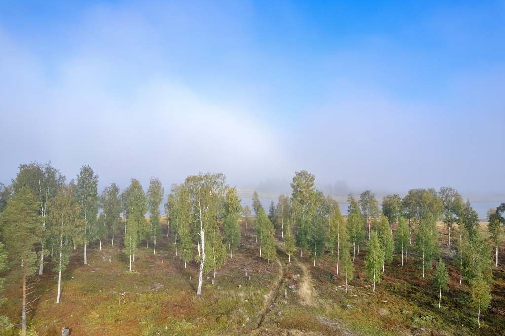 Norra Haraholmen - Bild 19