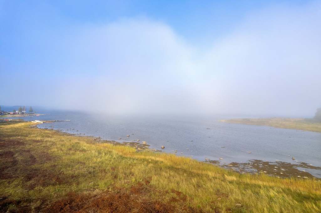 Norra Haraholmen - Bild 20