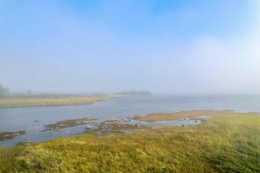 Norra Haraholmen - Bild 21