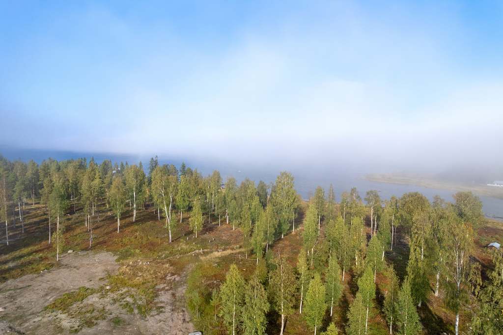 Norra Haraholmen - Bild 23