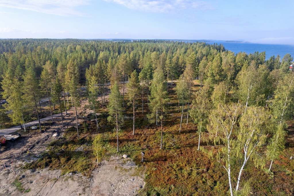 Norra Haraholmen - Bild 27