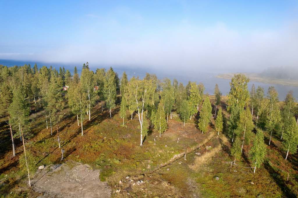 Norra Haraholmen - Bild 28