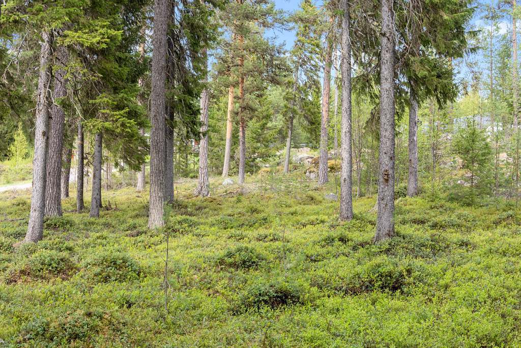 Edvägen 134-136 - Bild 4