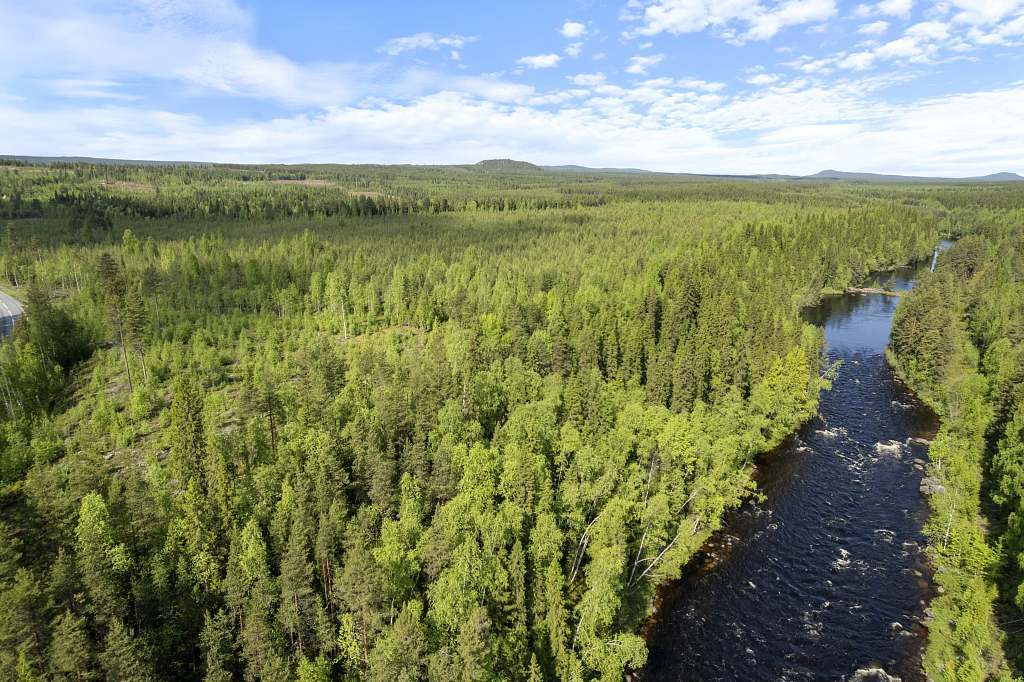 Norra Storfors 1:12, Älvsbyn