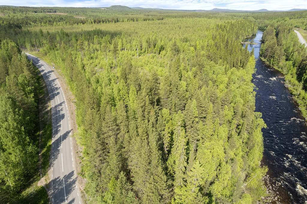 Norra Storfors 1:12, Älvsbyn