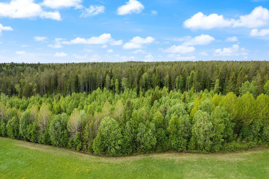 Broänge  8:1,14:1 & Gärde 2:7,2:8 - Bild 4