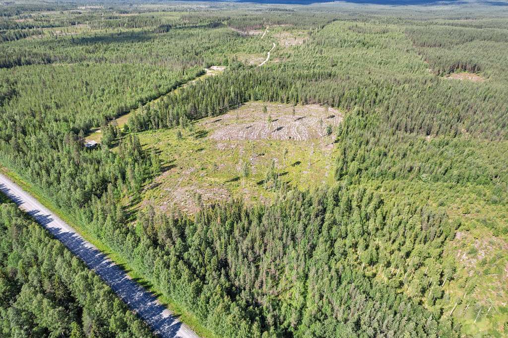 Trångfors 14 - Bild 35
