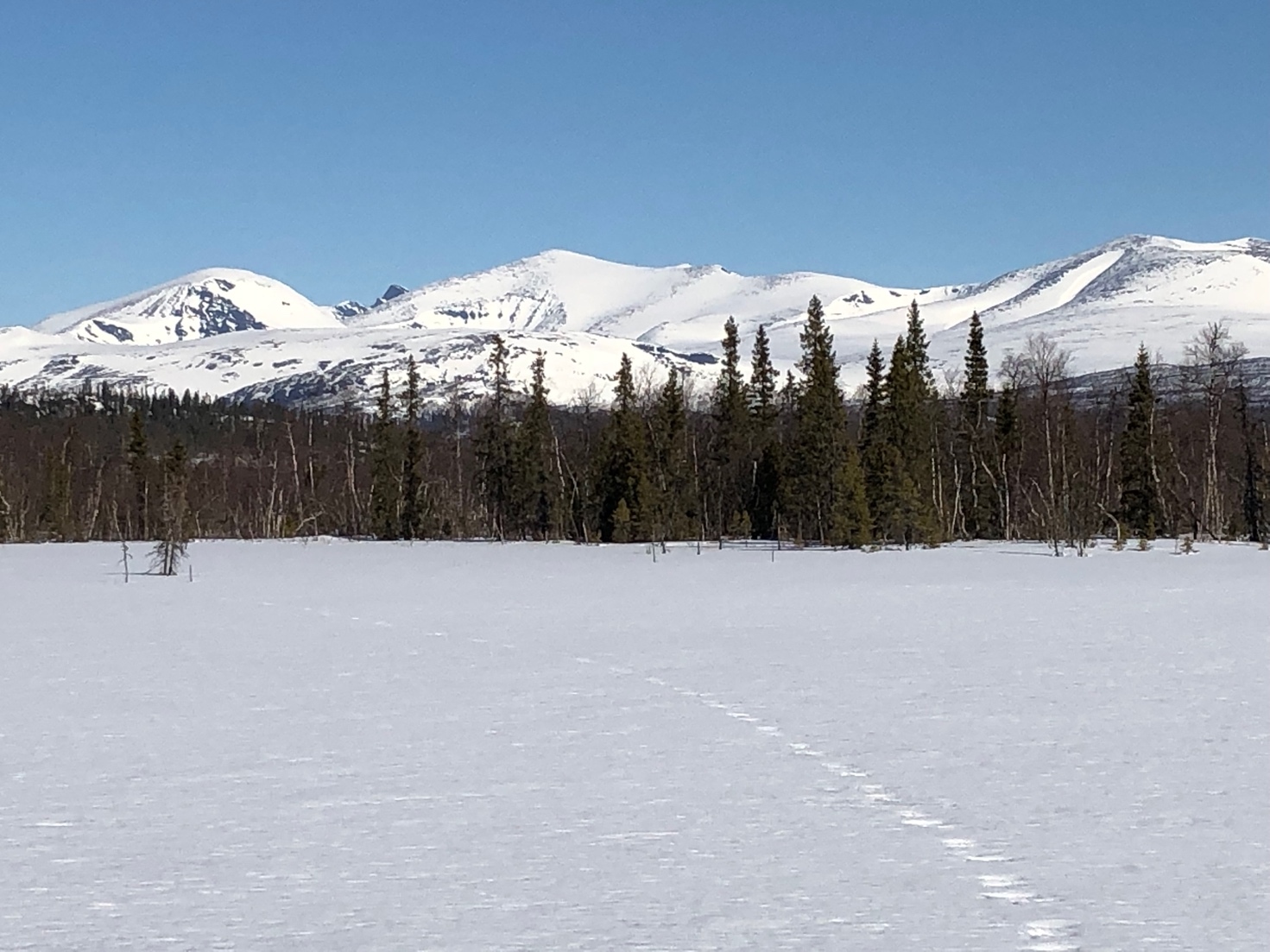 Kvikkjokk 3:13 bild nr 31