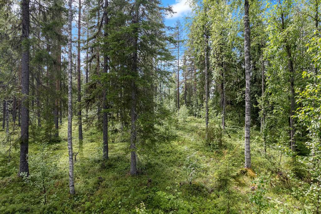 Åfors 45 bild nr 8