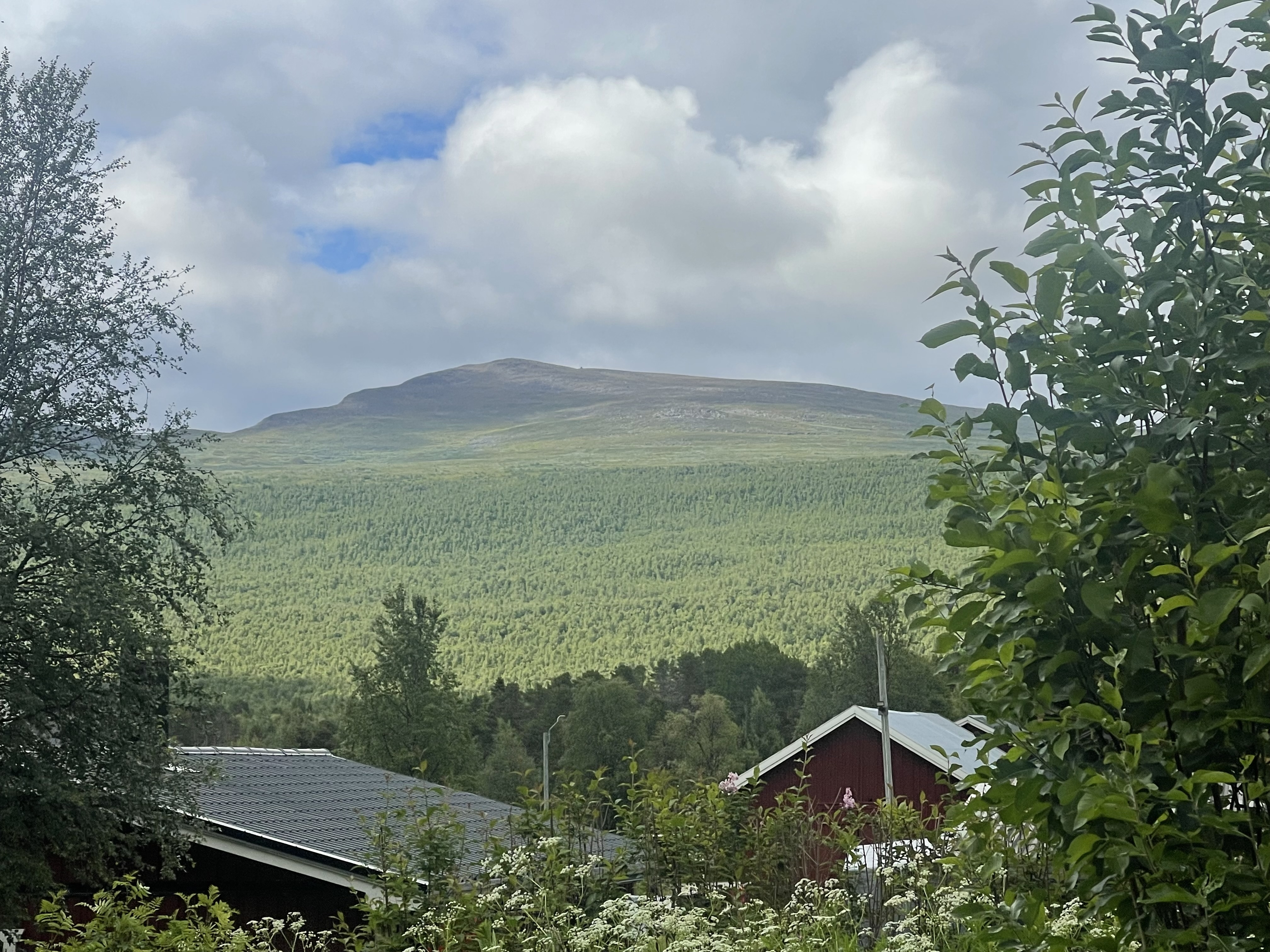 Jäckvik 1:254 & Jäckvik 1:255 bild nr 5